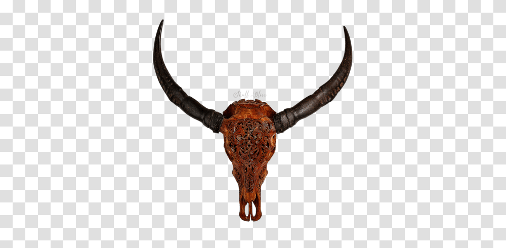 Skull Bliss Buffalo Skulls Worldwide Delivery, Longhorn, Cattle, Mammal, Animal Transparent Png