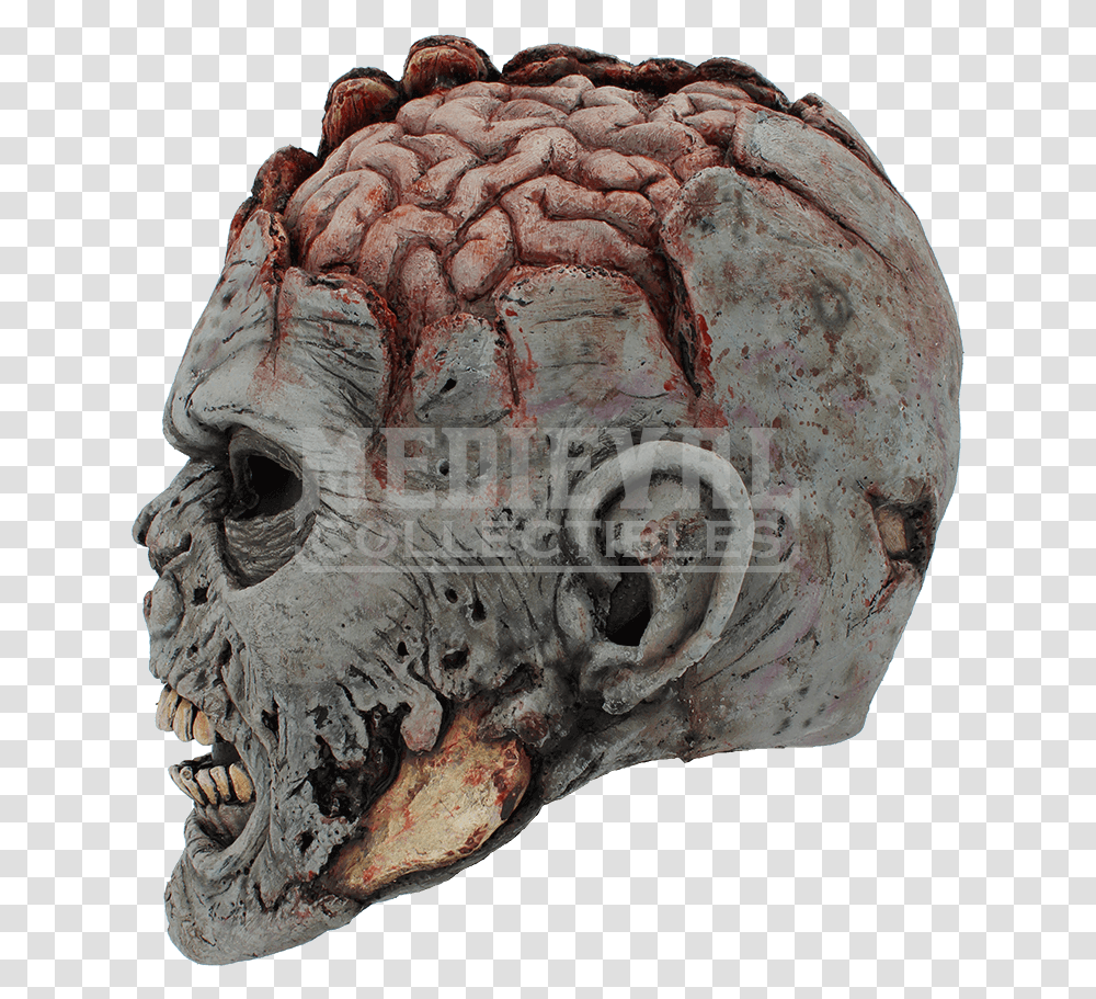 Skull Brain Mask Head Grey Matter Zombie Head, Fungus, Soil, Archaeology, Alien Transparent Png