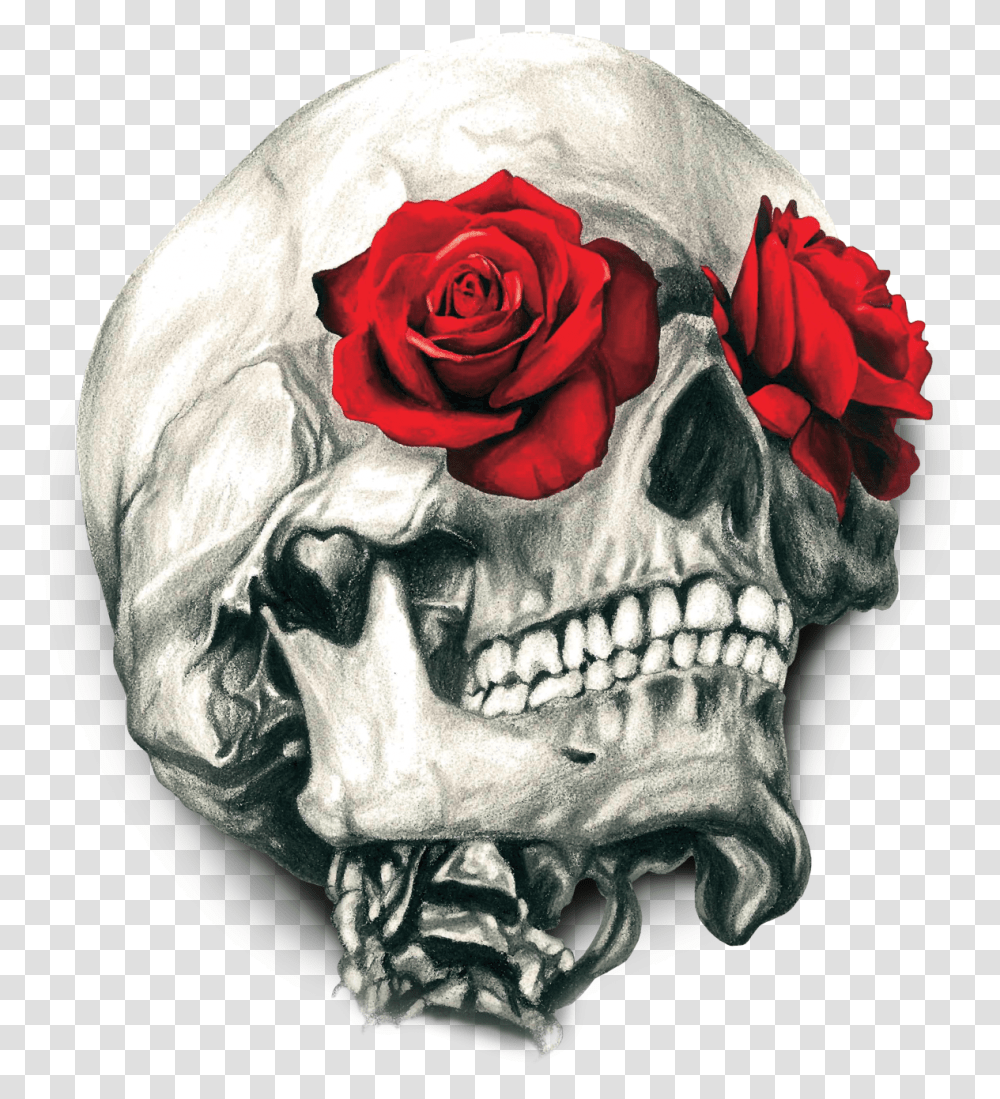 Skull Calavera T Shirt Human Rose Symbolism Clipart Skull And Rose Stickers, Flower, Plant, Blossom Transparent Png