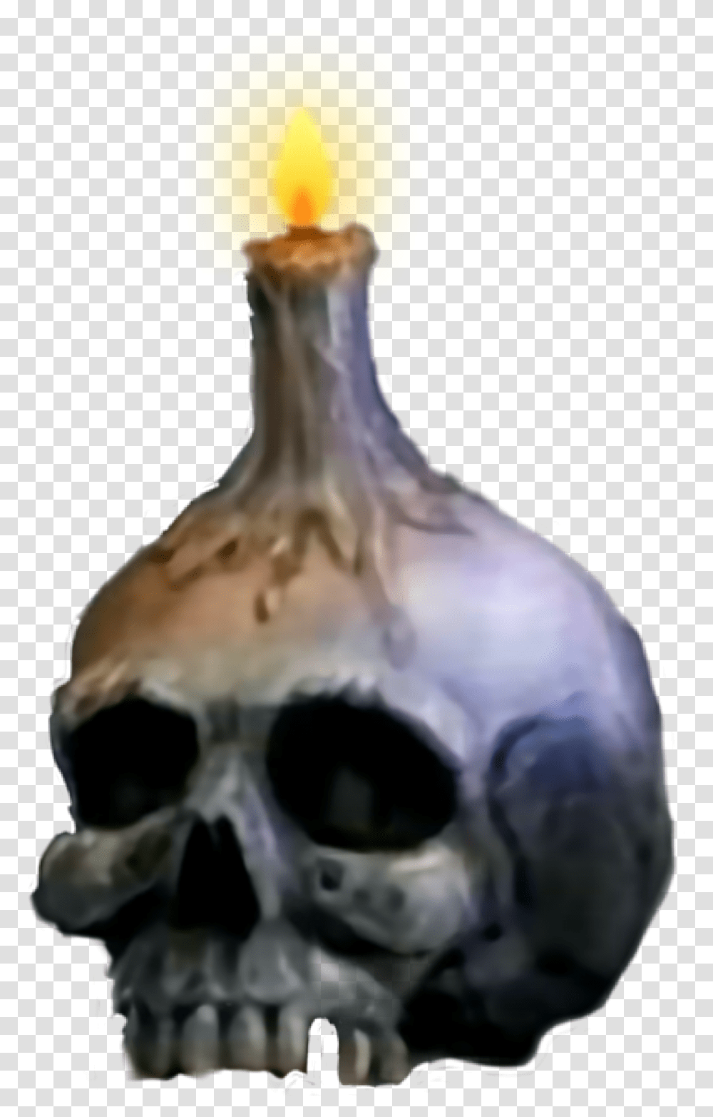 Skull Candle Gothic Halloween Witch Stilllife Skull, Bird, Animal, Plant, Snowman Transparent Png