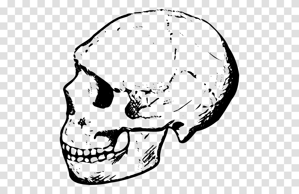 Skull Clip Art, Head, Jaw, Face, Drawing Transparent Png