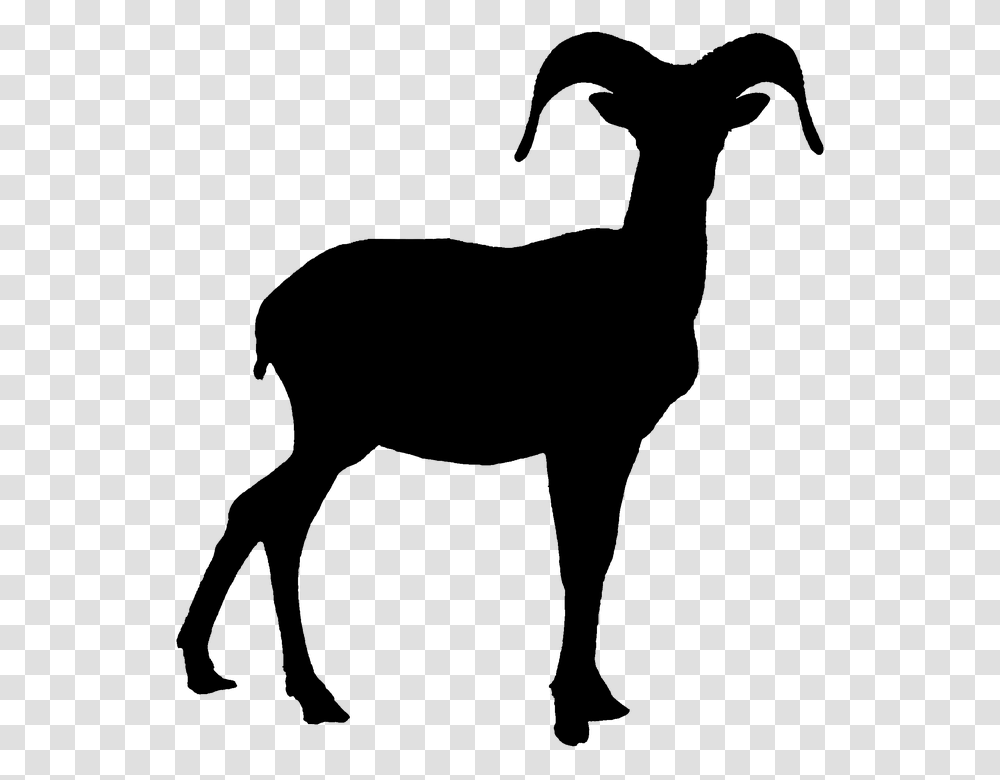 Skull Clipart Bighorn Sheep For Free Download And Use Bighorn Sheep Black And White, Gray, World Of Warcraft Transparent Png