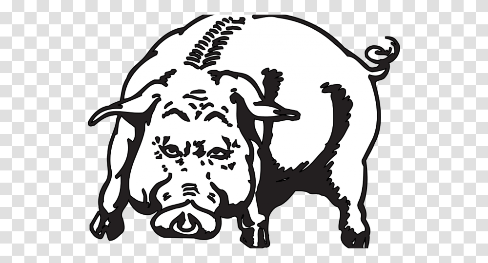 Skull Clipart Wild Boar Angry Hog, Stencil, Label, Pirate Transparent Png