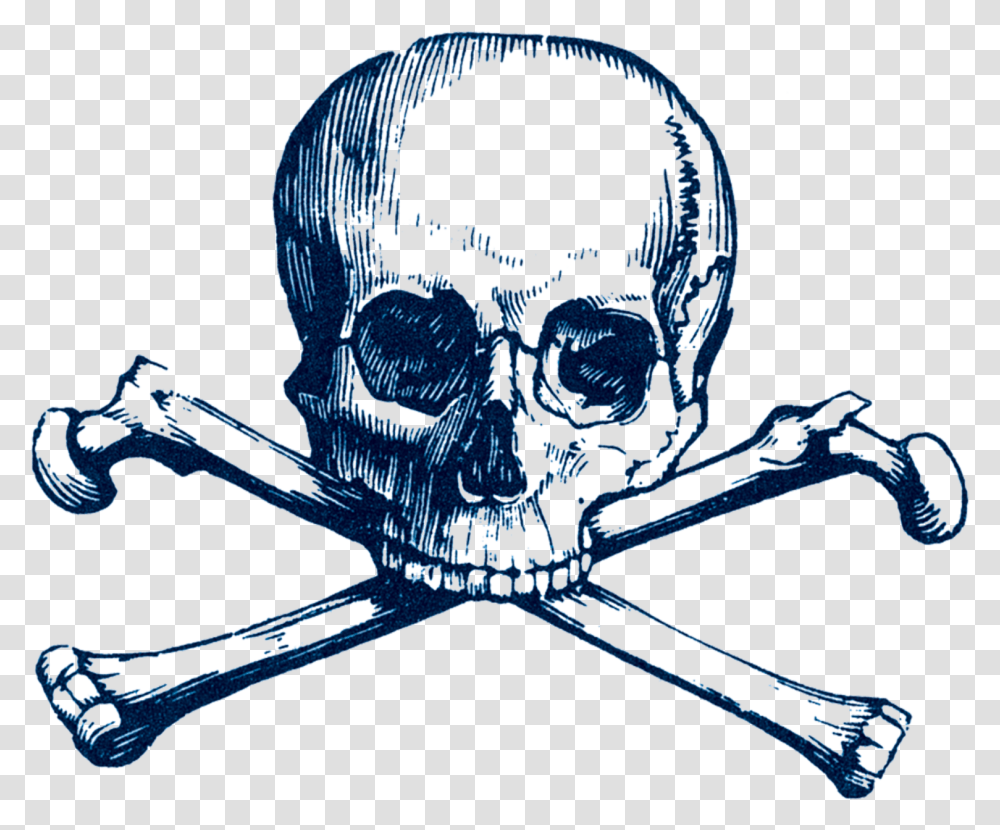 Skull Crossbones Jolly Roger Clipart Download Skull And Bones, Invertebrate, Animal, Insect, Spider Transparent Png
