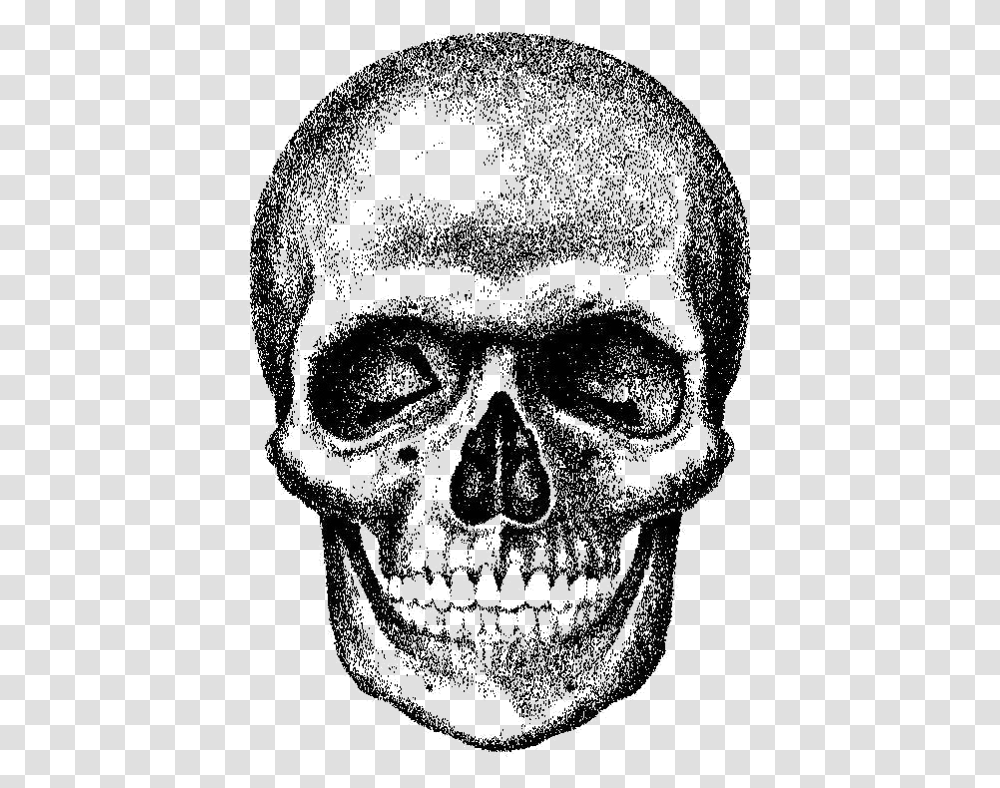 Skull Download Royalty Free Skull, Head, Face, Skin, Portrait Transparent Png