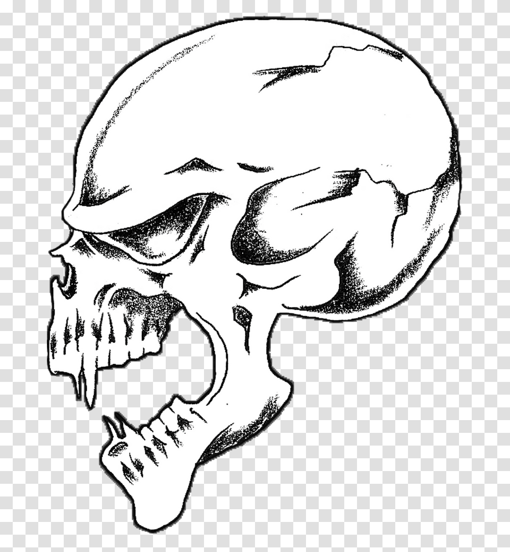 Skull, Drawing, Bird, Animal Transparent Png