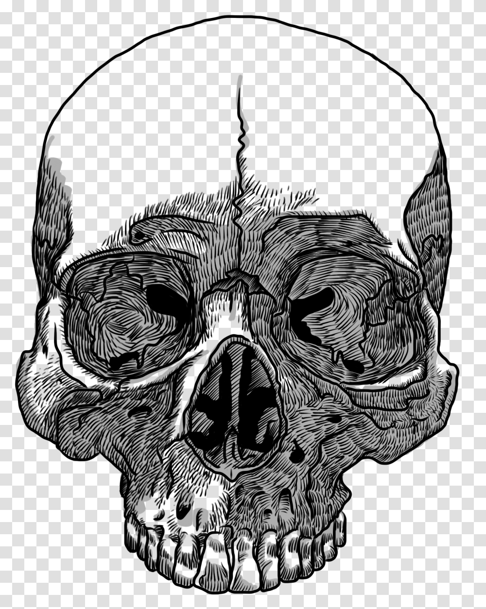 Skull Drawing Transparency And Translucency Clip Art Background Skull Drawing, Stencil, Lamp, Pattern Transparent Png