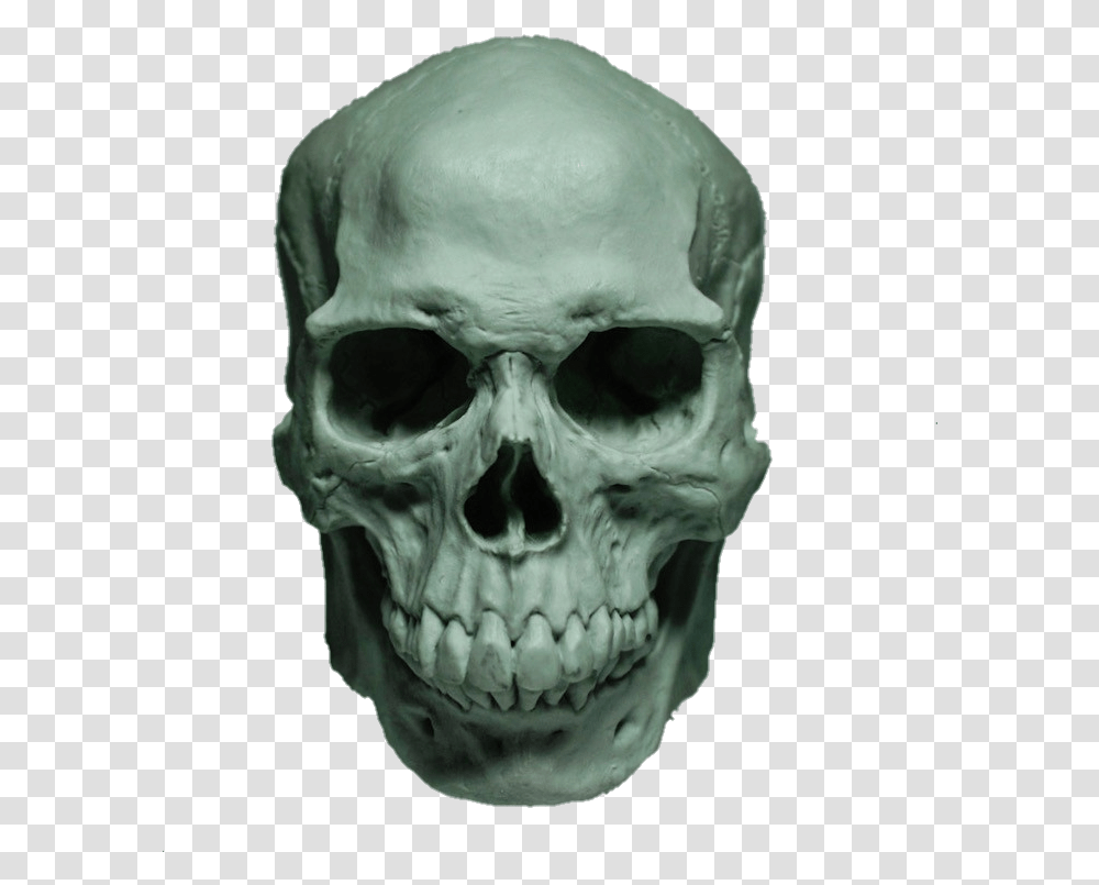 Skull Face Skullhead Skullface Bone Eyes Nose Caveira Skull, Alien, Person, Human, Skeleton Transparent Png
