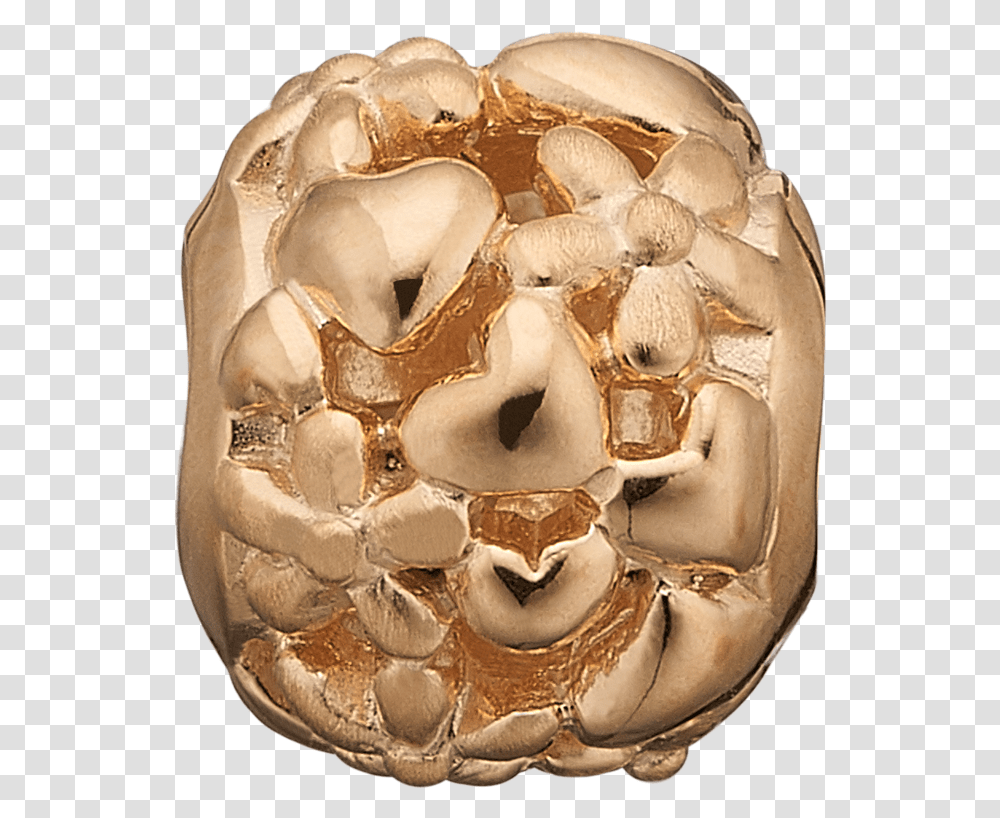 Skull, Fossil, Jaw, Painting, Soil Transparent Png