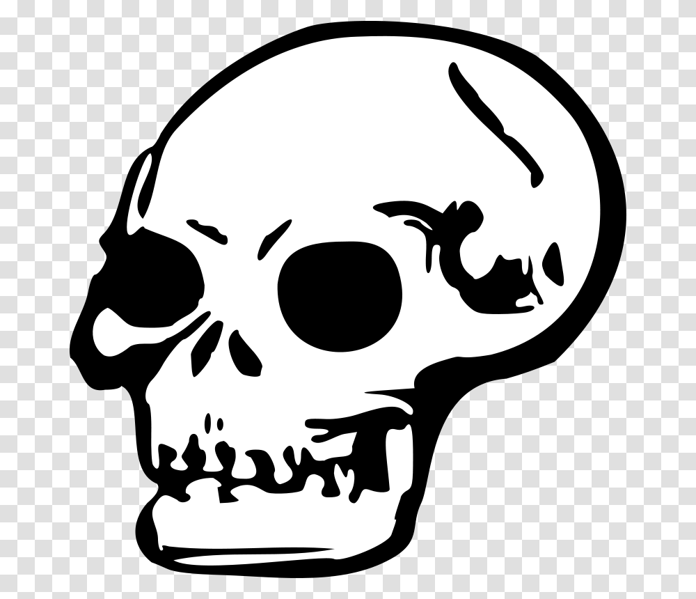 Skull Free Stock Photo Illustration Of A Human Skull, Stencil, Pirate Transparent Png