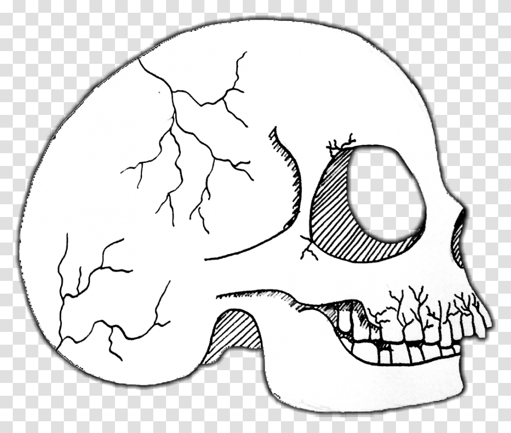Skull Gothic Skull, Sunglasses, Drawing, Animal Transparent Png