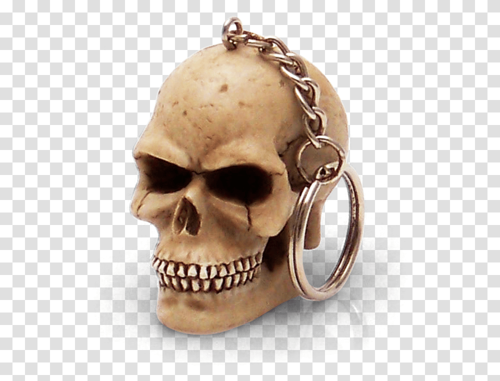 Skull, Head, Person, Human, Jaw Transparent Png