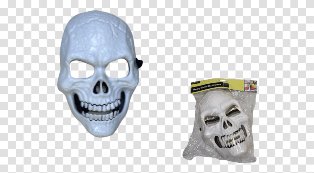Skull, Head, Person, Human, Skeleton Transparent Png