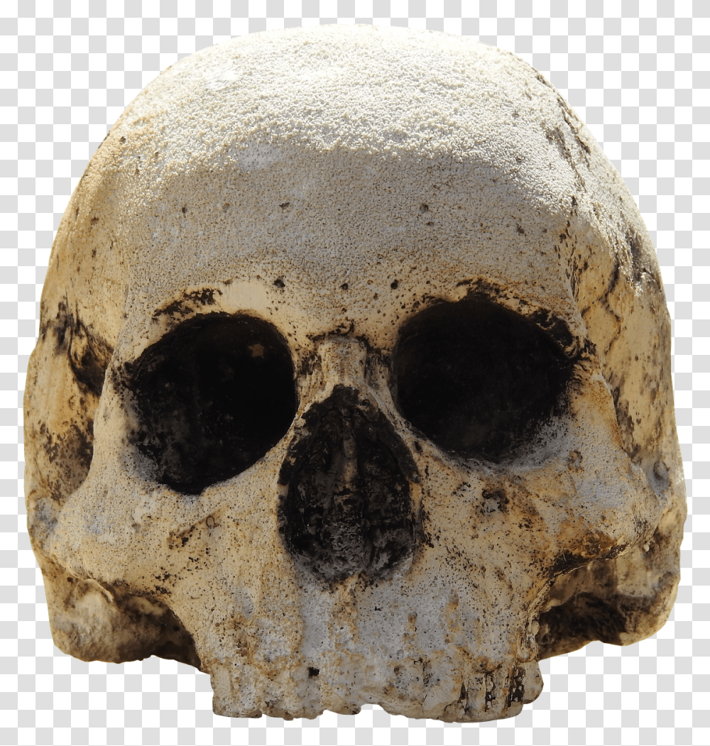 Skull Head Skull And Crossbones Weird Bone Squelette Tte De Mort, Archaeology, Moon, Outer Space, Night Transparent Png