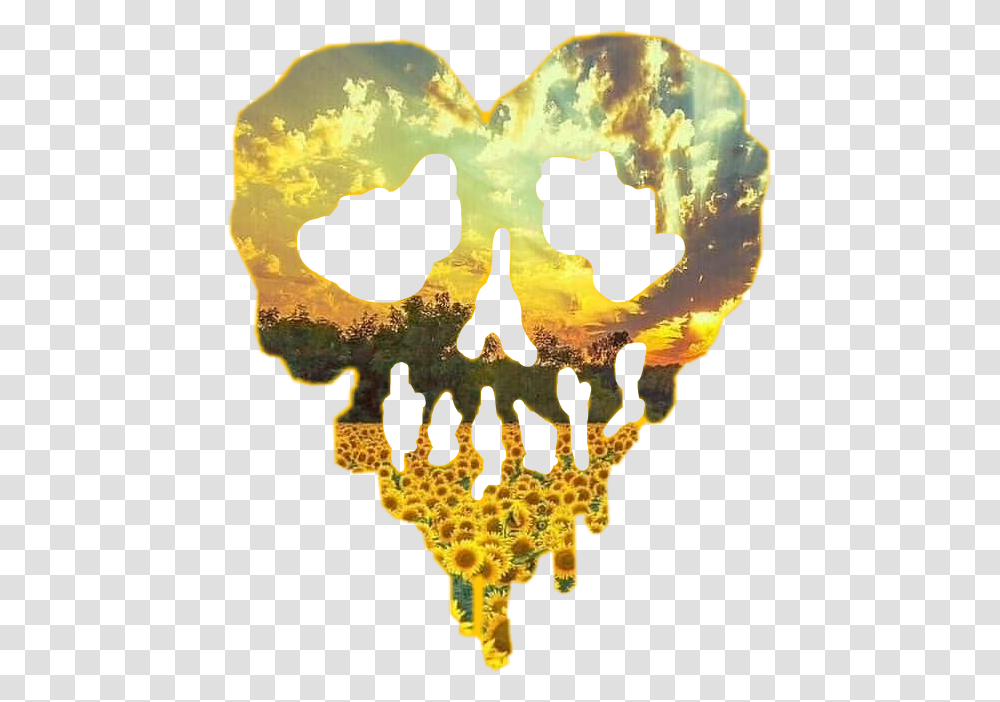 Skull Heart Skullheart Sunflower Sunset Sunflowerskull Heart, Nature, Outdoors, Painting, Land Transparent Png
