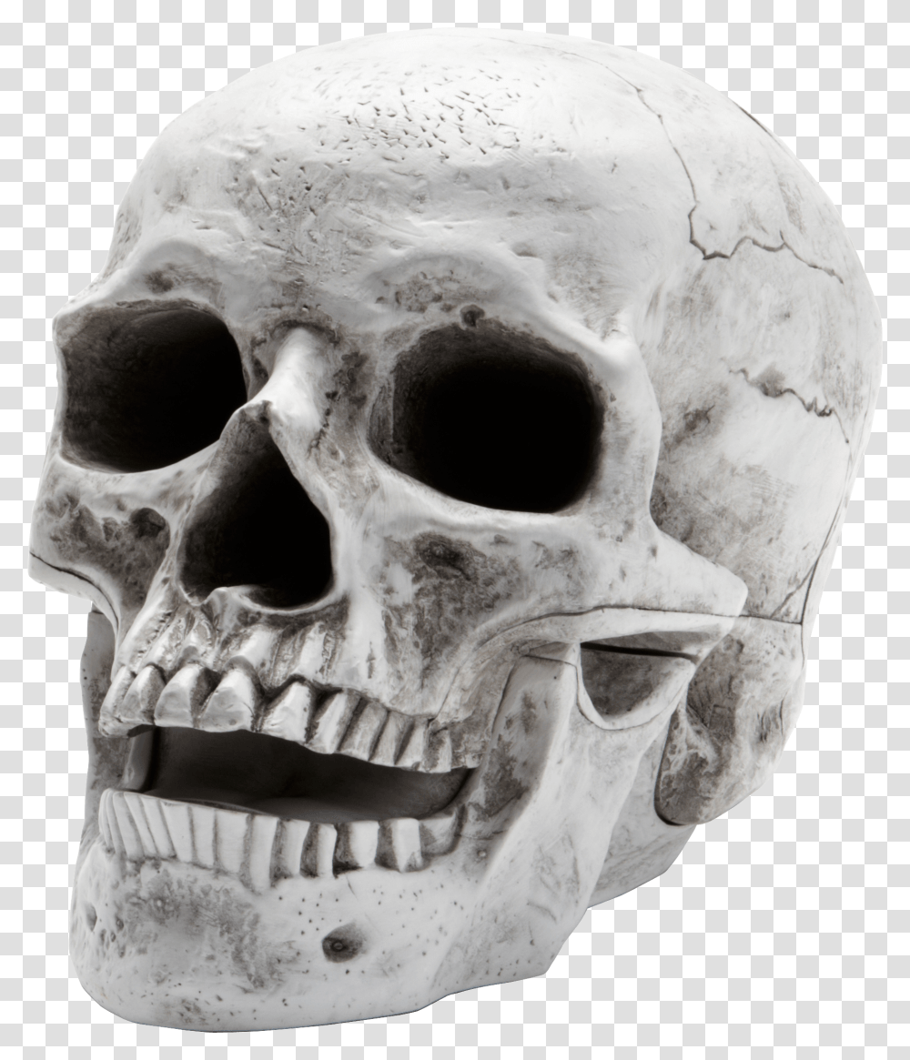 Skull Image, Fantasy, Head, Jaw, Skeleton Transparent Png