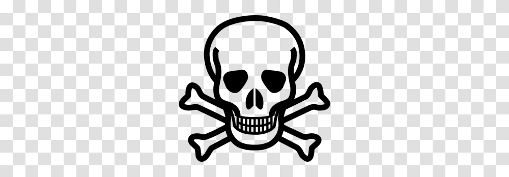 Skull Image, Fantasy, Sea Life, Animal, Seafood Transparent Png