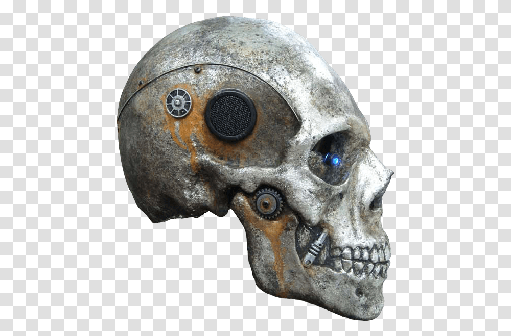 Skull Image Skeleton Head Cb, Archaeology, Soil, Helmet Transparent Png