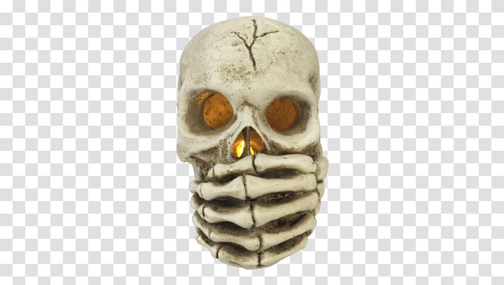 Skull, Jaw, Fungus, Head, Pirate Transparent Png