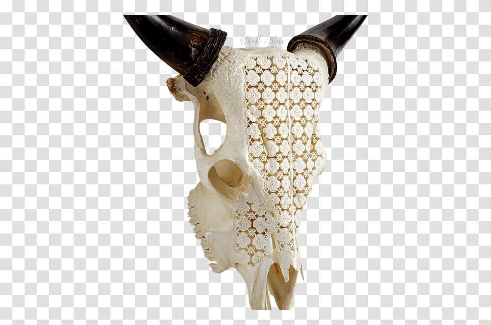 Skull, Jaw, Ivory, Soil, Lace Transparent Png