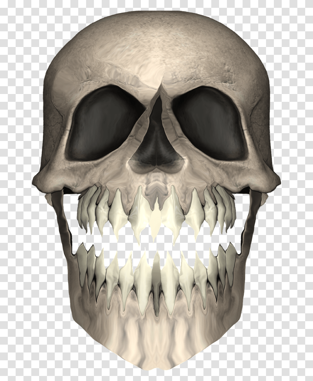 Skull, Jaw, Teeth, Mouth, Lip Transparent Png