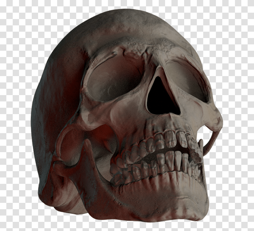 Skull, Mask, Horse, Mammal, Animal Transparent Png