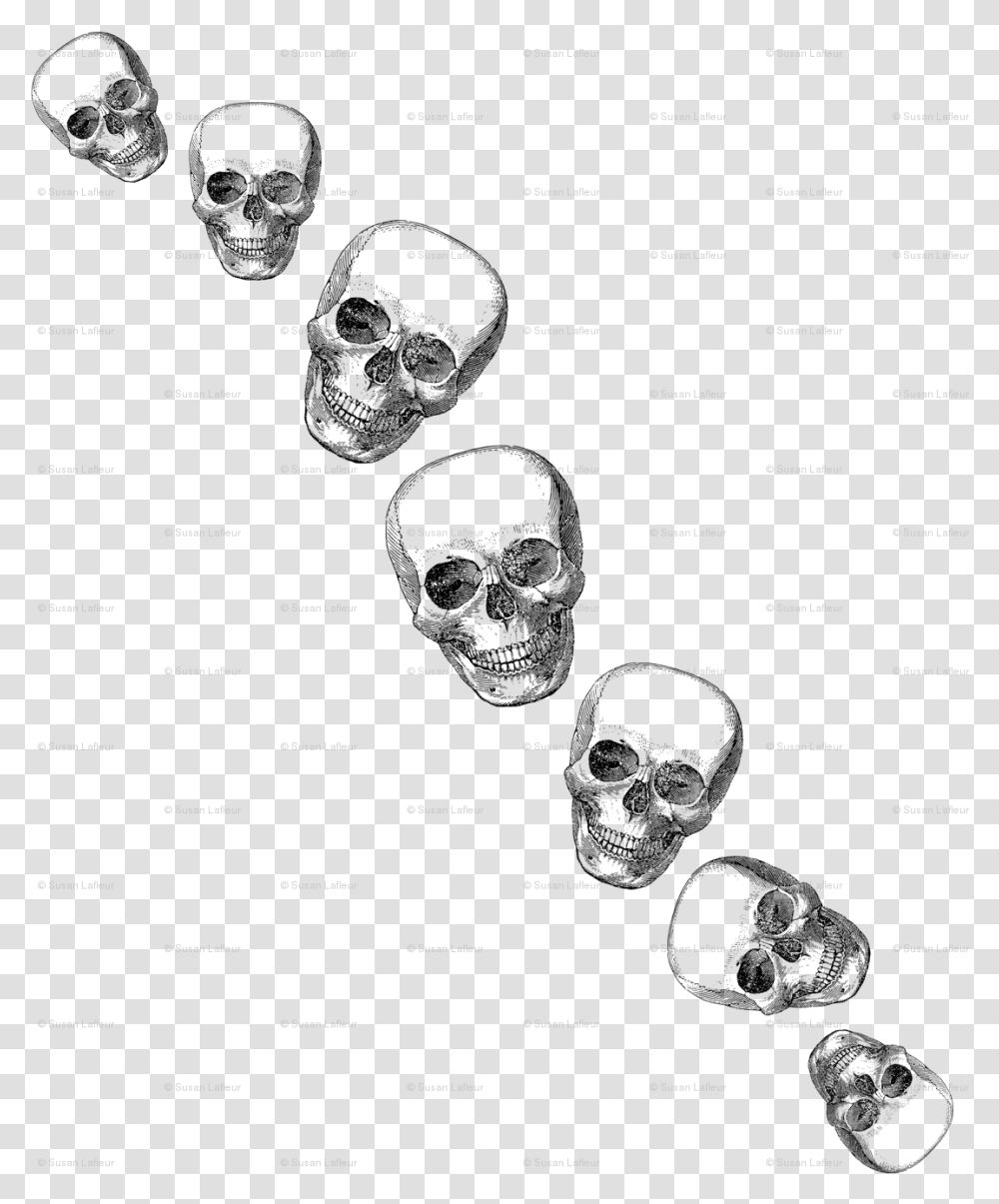Skull, Menu, Silhouette, Photography Transparent Png