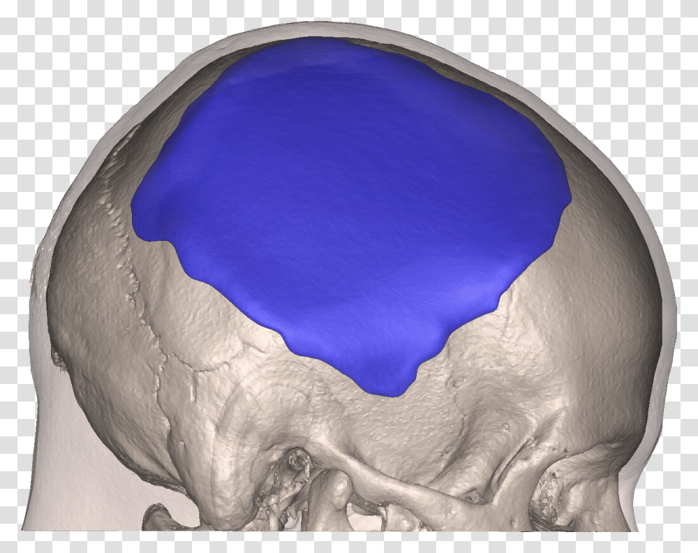 Skull, Nature, Outdoors, Sphere, Painting Transparent Png