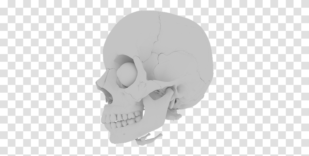 Skull Orbit Skeleton Bone Teeth Medical Human Skull, Mouth, Lip, Soccer Ball, Football Transparent Png