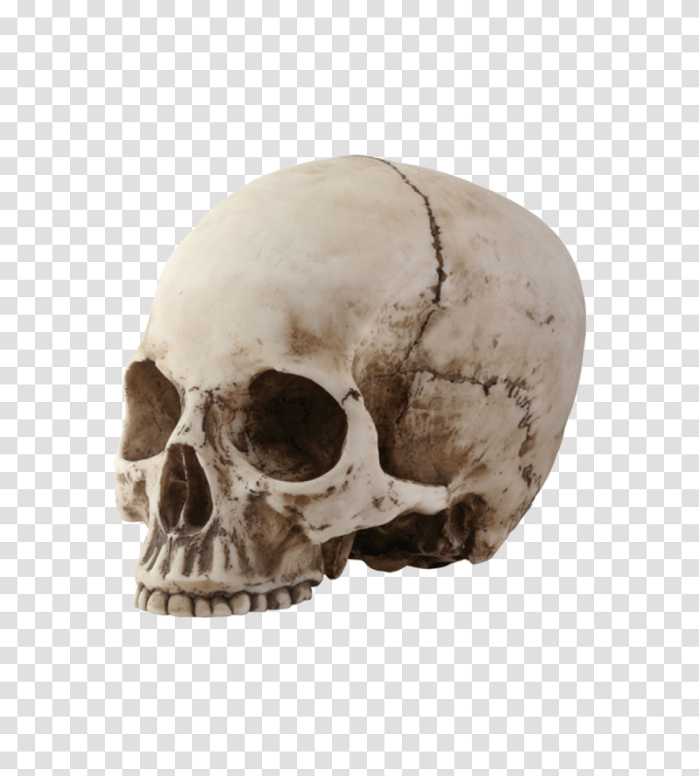 Skull, Person, Egg, Food, Jaw Transparent Png