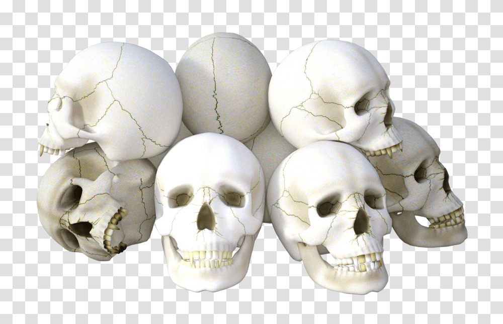 Skull, Person, Egg, Food, Mask Transparent Png