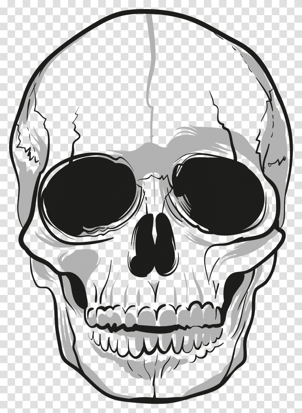 Skull, Person, Head, Drawing Transparent Png