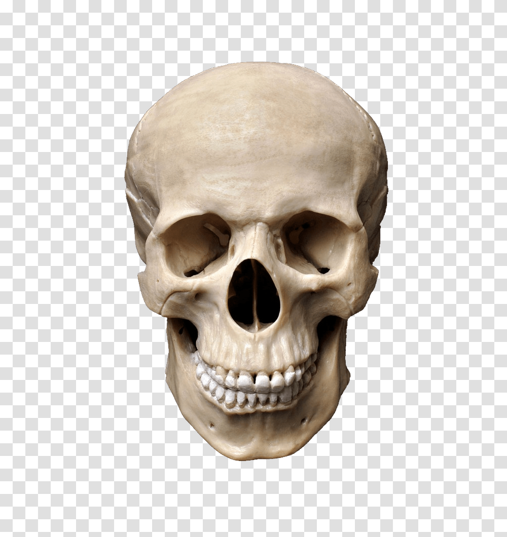 Skull, Person, Head, Human, Helmet Transparent Png