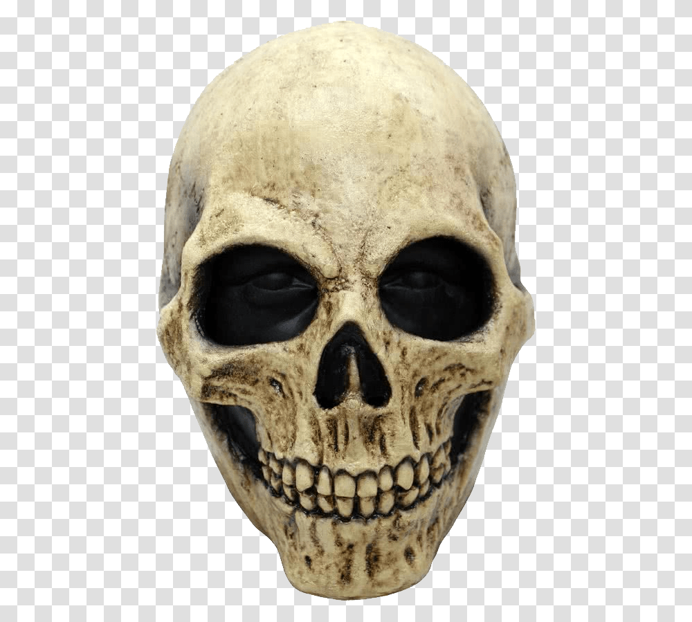 Skull, Person, Head, Jaw, Teeth Transparent Png