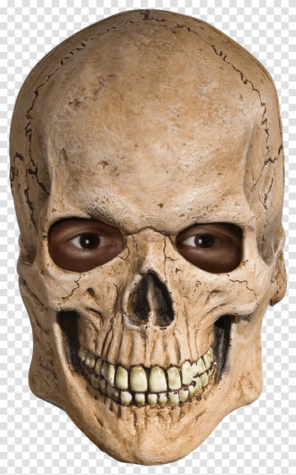 Skull, Person, Head, Mask Transparent Png