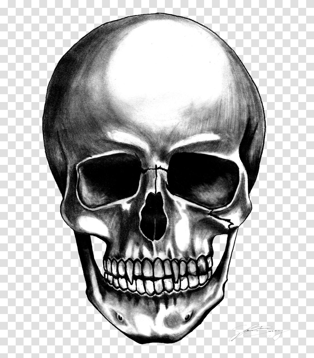 Skull, Person, Head, Sunglasses, Accessories Transparent Png