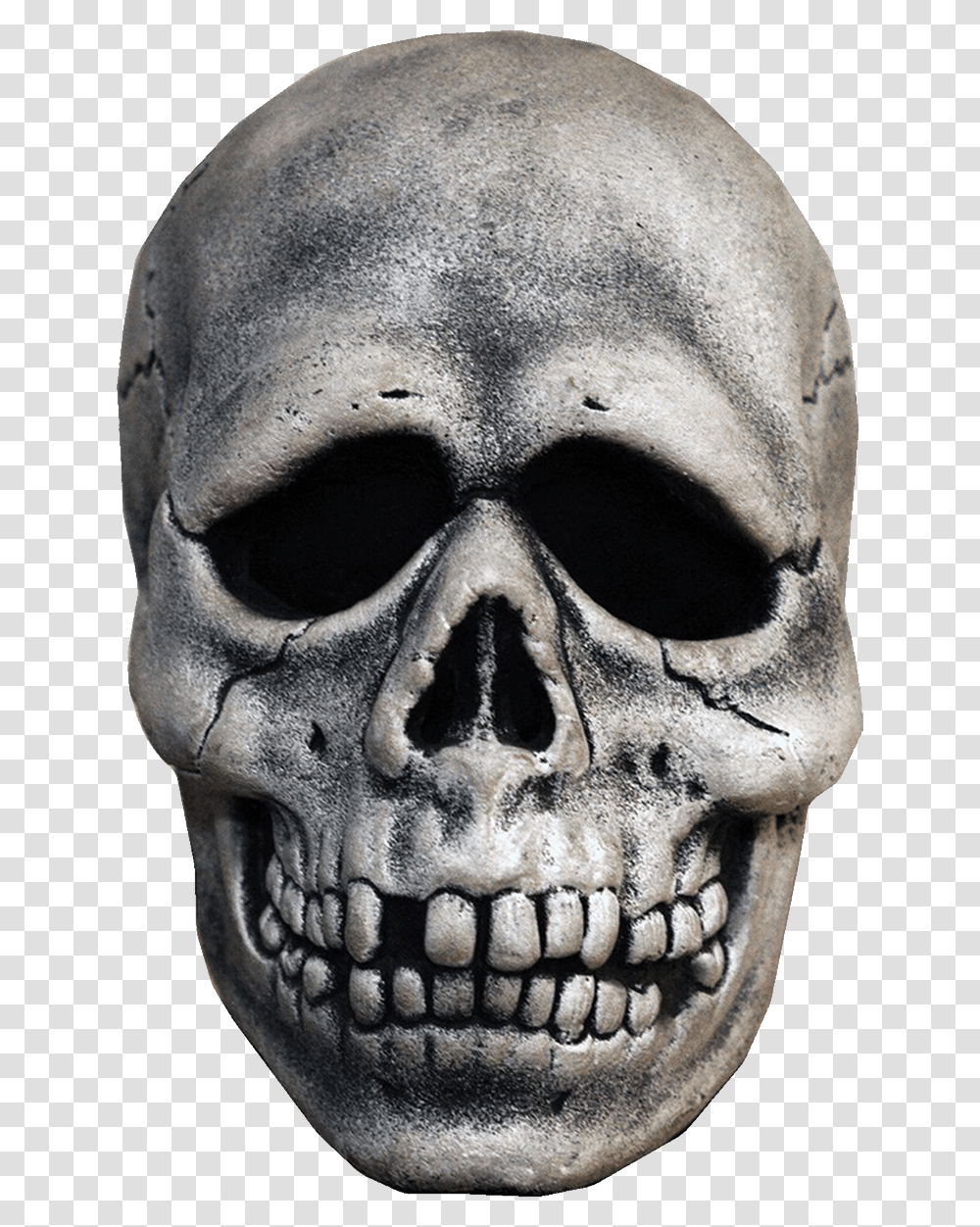 Skull, Person, Head, Tattoo, Skin Transparent Png