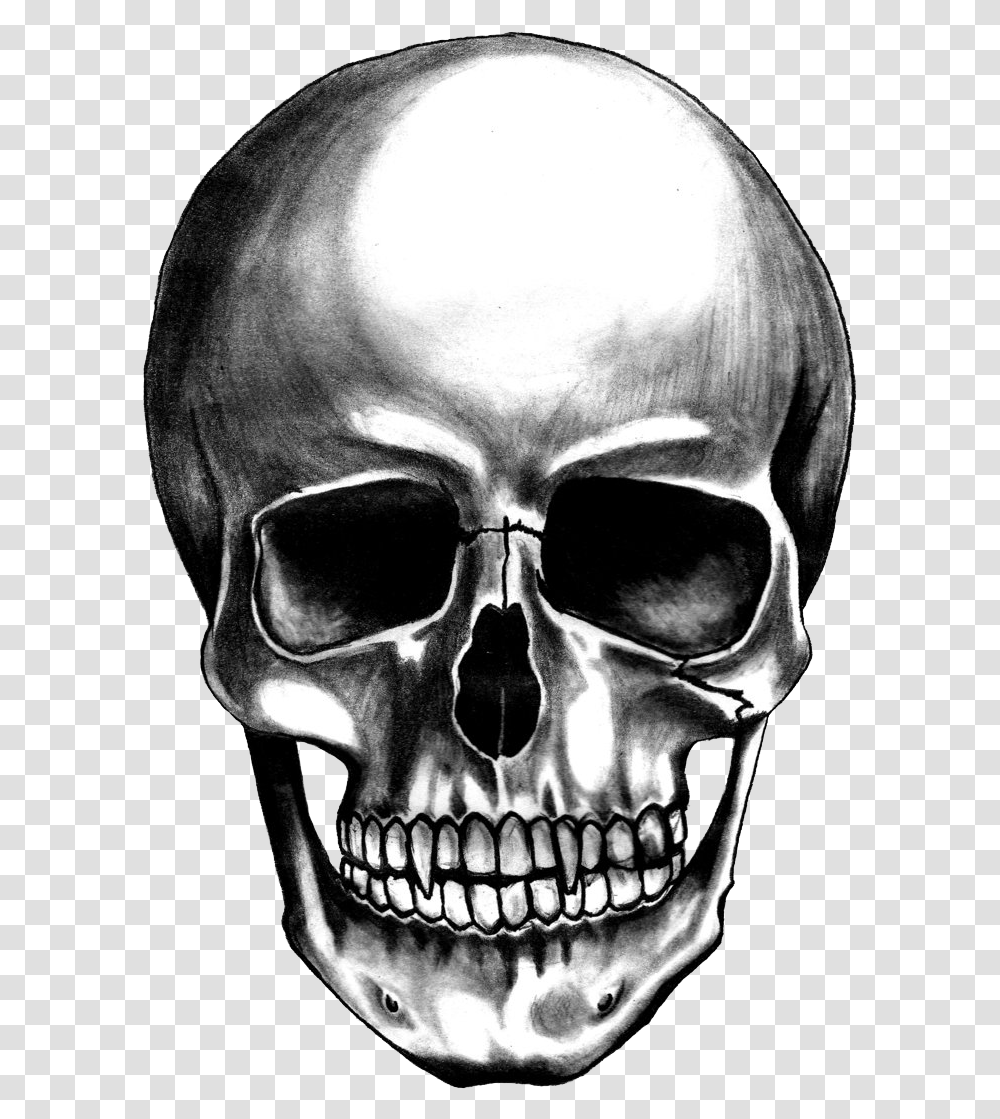 Skull, Person, Human, Alien, Head Transparent Png