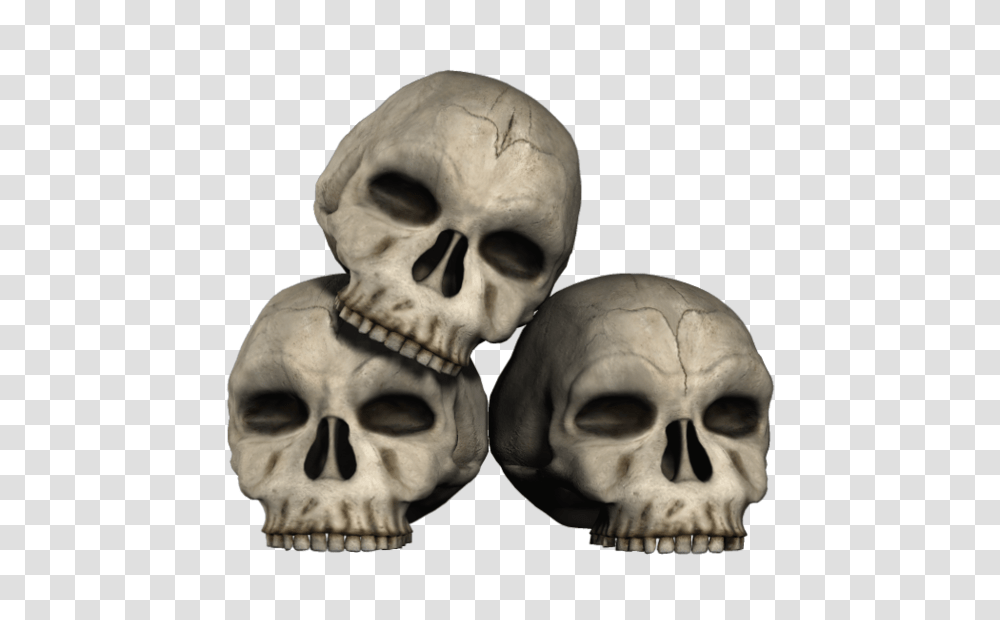 Skull, Person, Human, Skeleton, Head Transparent Png