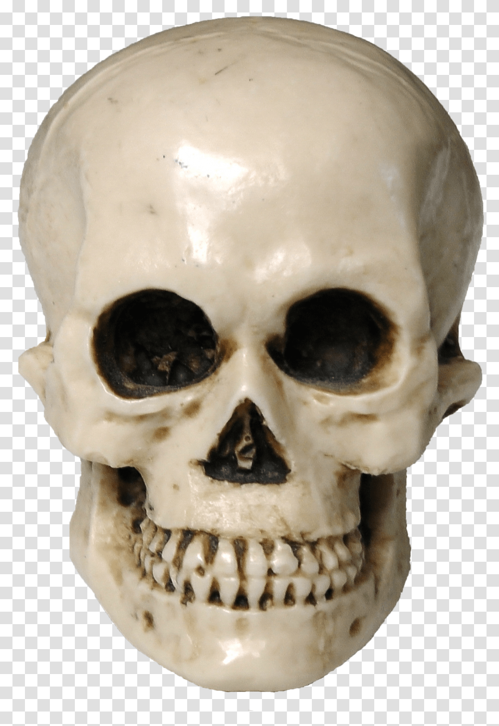 Skull, Person, Jaw, Helmet Transparent Png