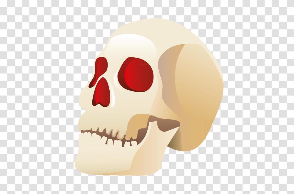 Skull, Person, Jaw, Teeth, Mouth Transparent Png