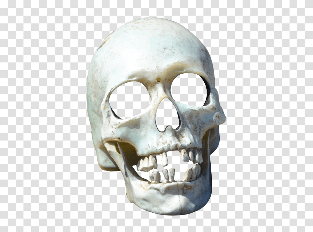 Skull, Person, Jaw, Teeth, Mouth Transparent Png