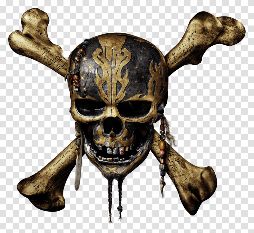 Skull, Person, Skin, Spider, Animal Transparent Png