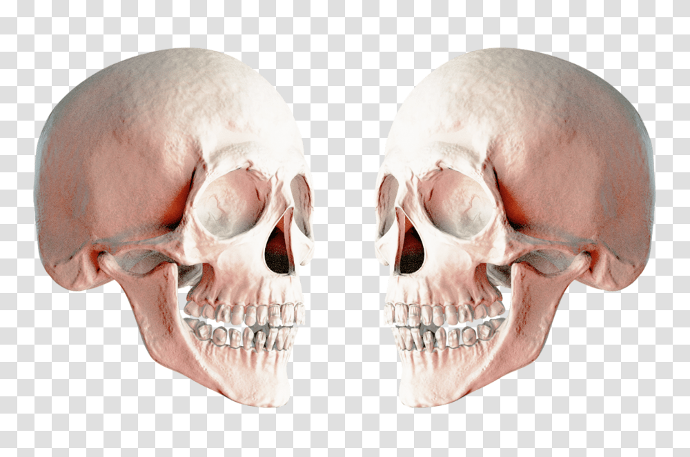 Skull, Person, Sunglasses, Accessories, Accessory Transparent Png