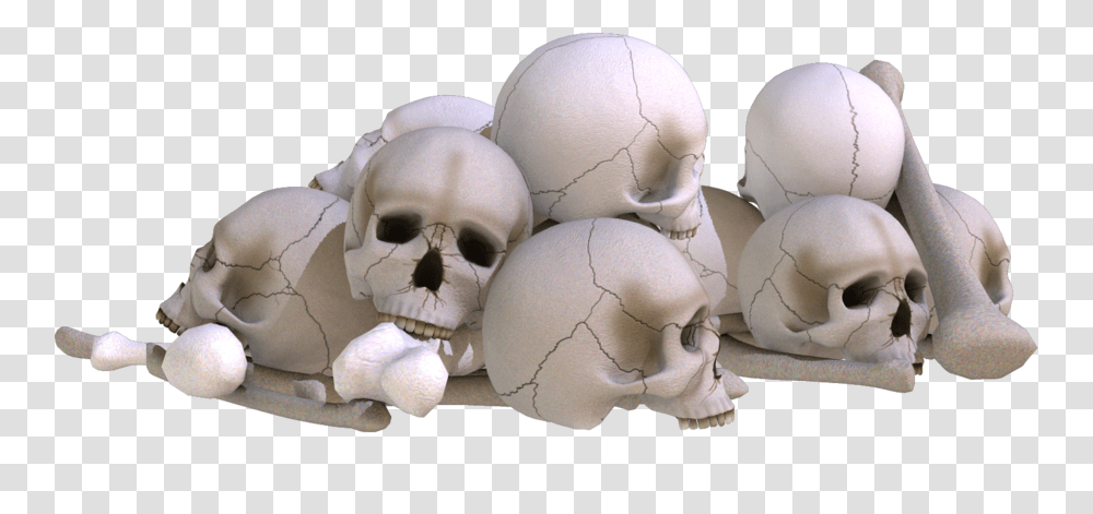Skull, Person, Teddy Bear, Toy, Jaw Transparent Png