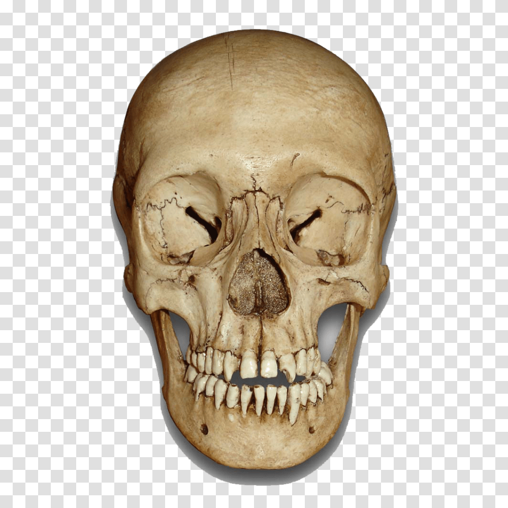 Skull, Person, Teeth, Mouth, Lip Transparent Png