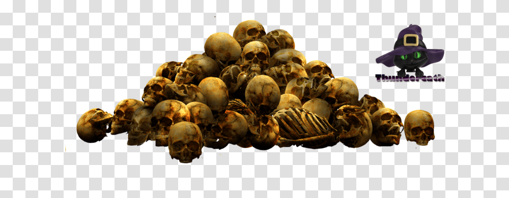 Skull Pile Pile Of Skulls, Plant, Honey Bee, Insect, Invertebrate Transparent Png
