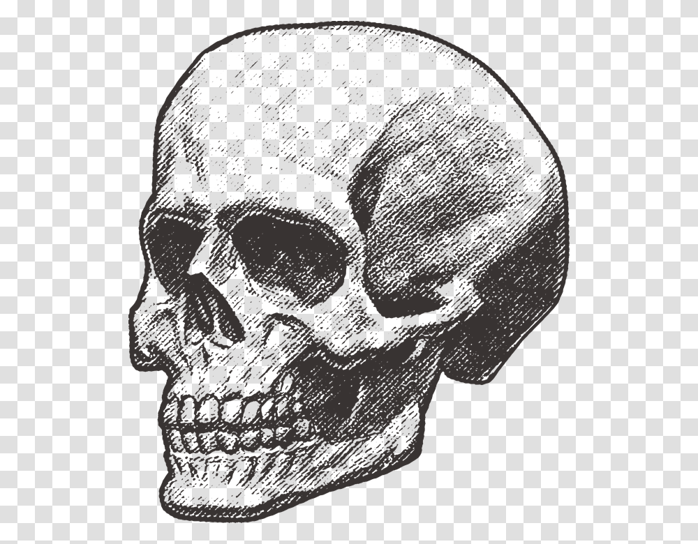 Skull Pirate Deadly Death Danger Keys Halloween, Head, Hair, Baseball Cap, Hat Transparent Png