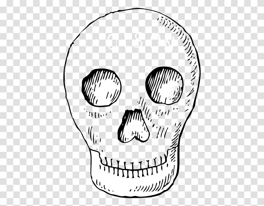 Skull Pirate Head Free Vector Graphic On Day Of The Dead Pictures Clip Art, Stencil, Label Transparent Png