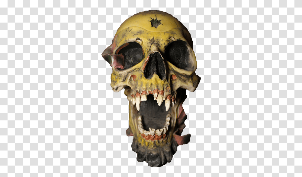 Skull Pirate Head View Bones Scary Creepy Creepy Skull, Alien, Person, Human, Teeth Transparent Png